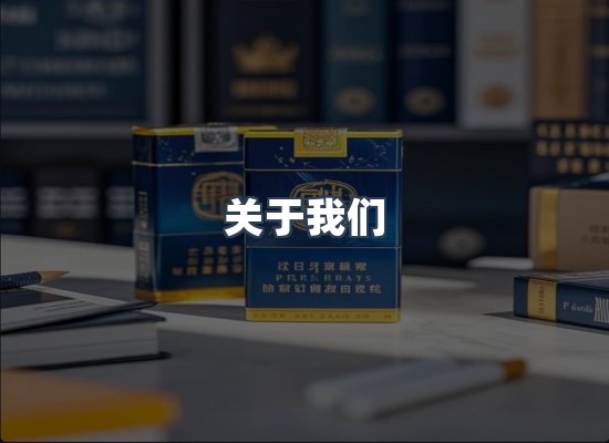 关于我们
